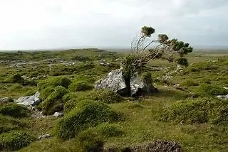 The Wilderness B&B